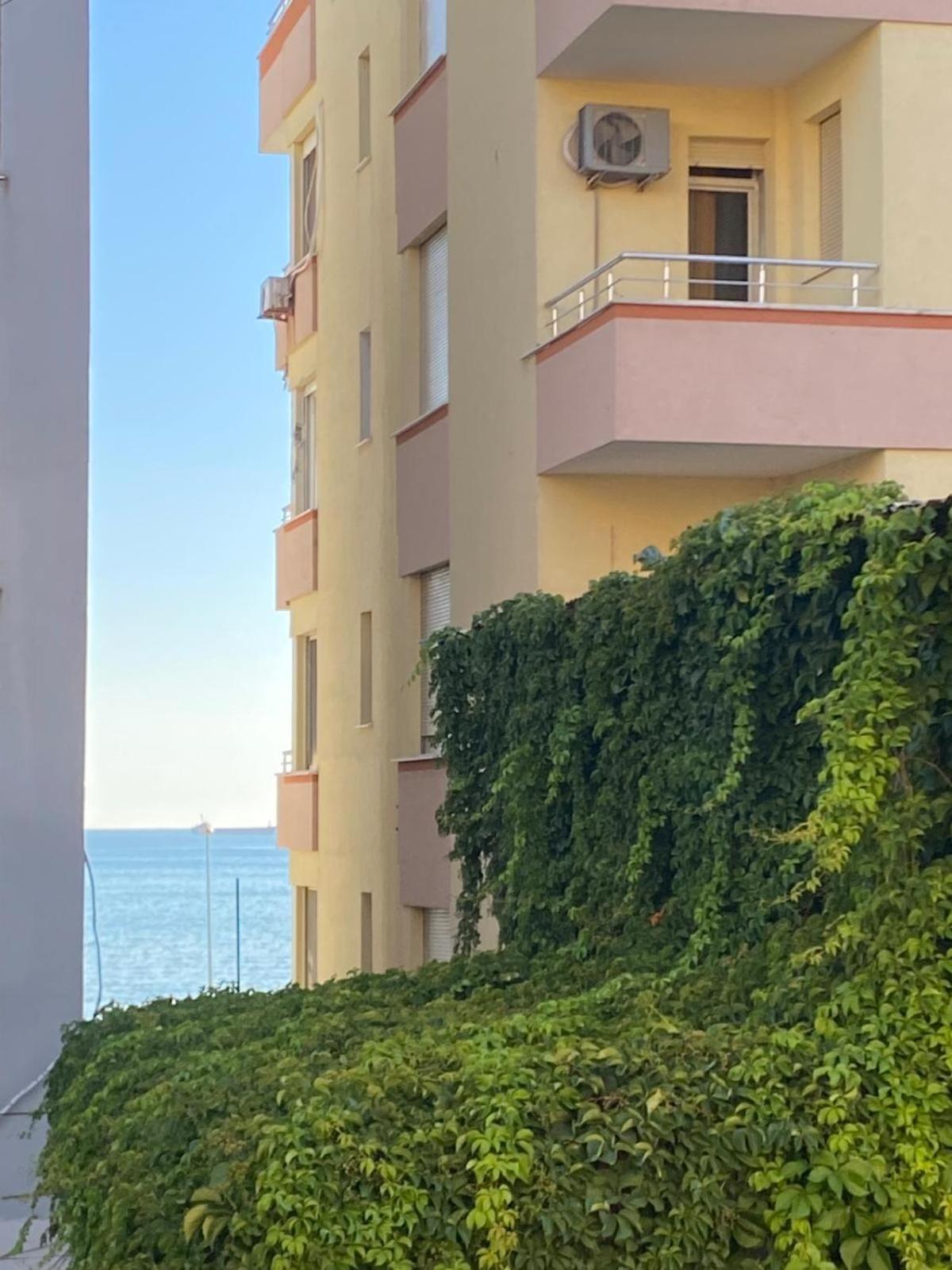 Ambra * Durrës